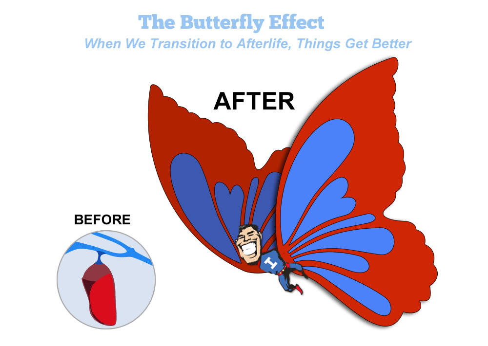 Theend of life butterfly concept is when consciousness transitions into a new dimension, emerging better as a butterfly