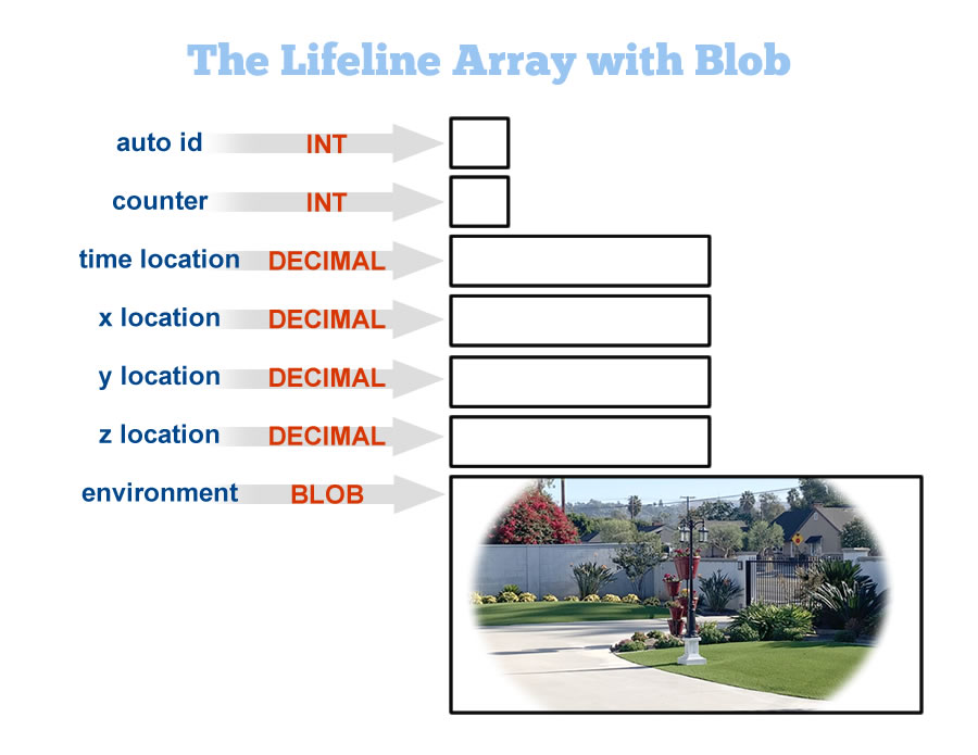 The is the data array, including its numeric fields, and the blob to store the environment
