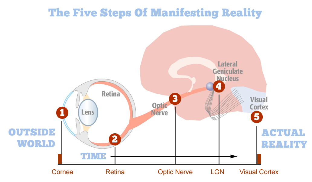 A comprehensive diagram of how the outside world is captured into the mind.
