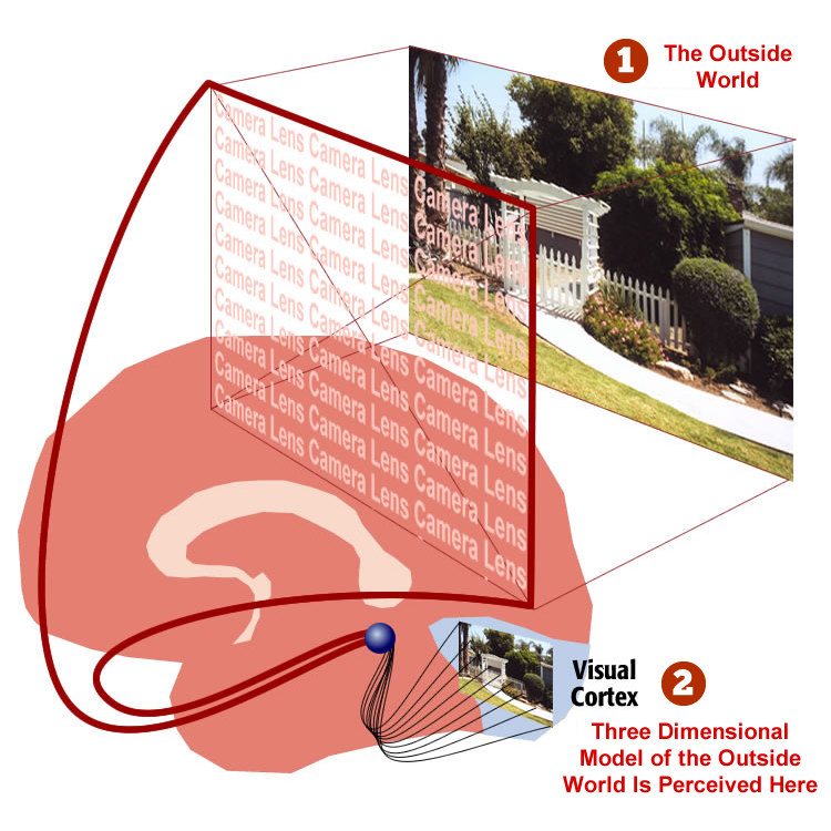 A diagram showing the environment being captured into the mind, then built in the visual cortex.