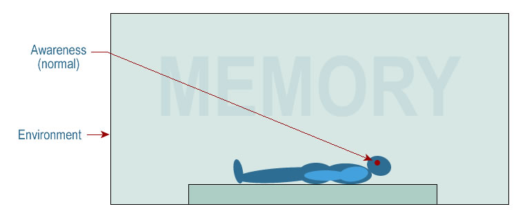 the conscious mind surrounded by memory